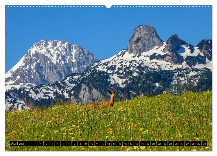 Produktbild: Abtenau im Lammertal (hochwertiger Premium Wandkalender 2026 DIN A2 quer), Kunstdruck in Hochglanz