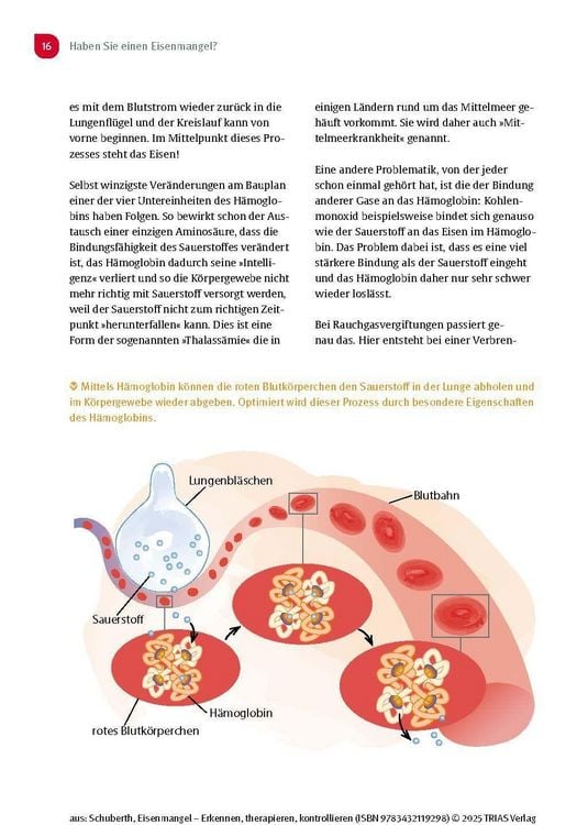 Produktbild: Eisenmangel - Erkennen, therapieren, kontrollieren