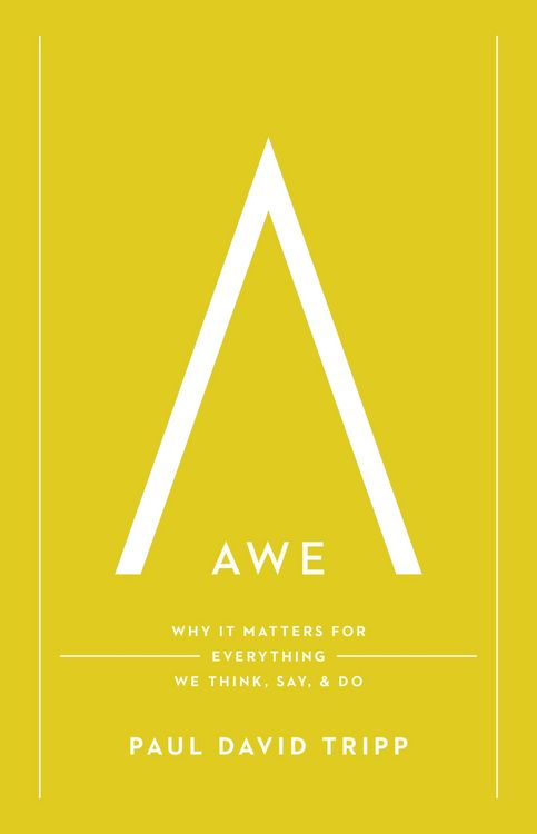 Produktbild: Awe (with Study Questions)