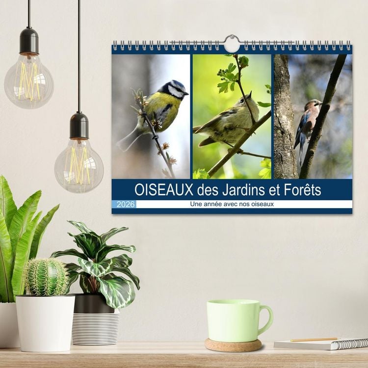 Produktbild: OISEAUX des Jardins et For&ecirc;ts (Calendrier mural 2026 DIN A4 vertical), CALVENDO calendrier mensuel