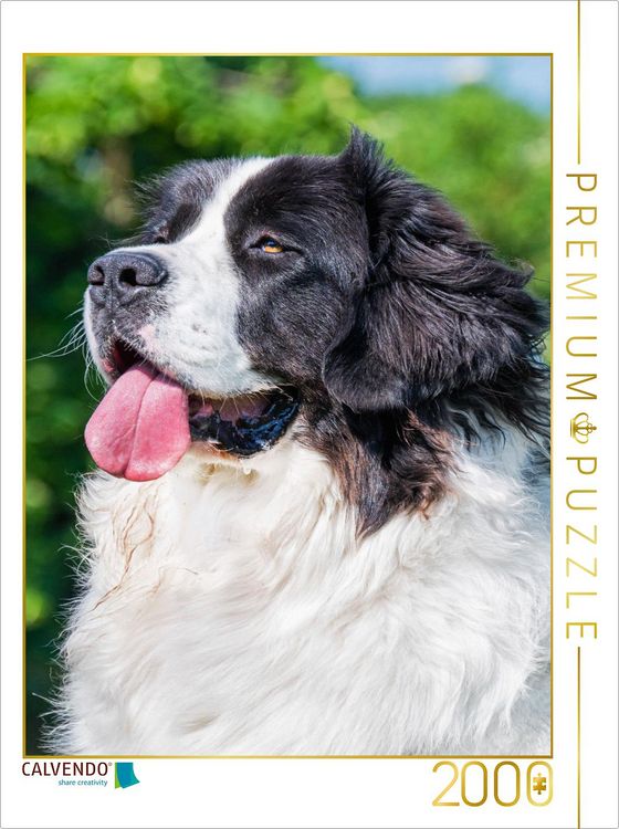 Produktbild: CALVENDO Puzzle Landseer Portr&auml;t | 2000 Teile Lege-Gr&ouml;&szlig;e 90x67cm Foto-Puzzle f&uuml;r gl&uuml;ckliche Stunden