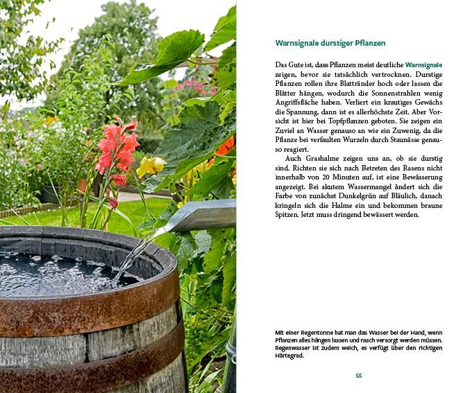 Produktbild: G&auml;rtnern im Wandel