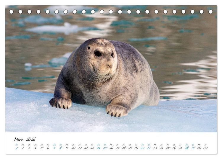 Produktbild: 78&deg; Nord - Arktische Momente in Svalbard (Tischkalender 2026 DIN A5 quer), CALVENDO Monatskalender