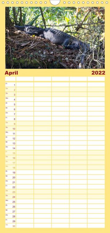 Produktbild: Familienplaner Florida - Sonne, Str&auml;nde und Naturparks (Wandkalender 2022 , 21 cm x 45 cm, hoch)