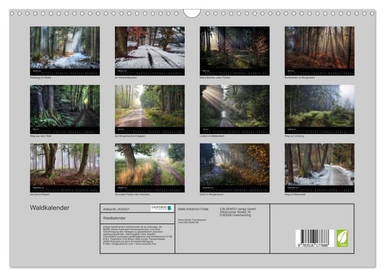 Produktbild: Waldkalender (Wandkalender 2026 DIN A3 quer), CALVENDO Monatskalender