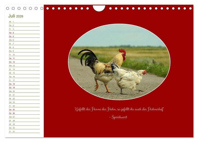 Produktbild: Freilaufende H&uuml;hner (Wandkalender 2026 DIN A4 quer), CALVENDO Monatskalender