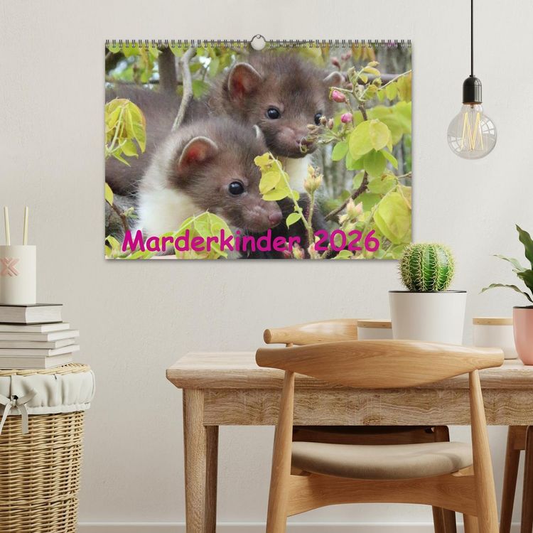 Produktbild: Marderkinder (Wandkalender 2026 DIN A3 quer), CALVENDO Monatskalender