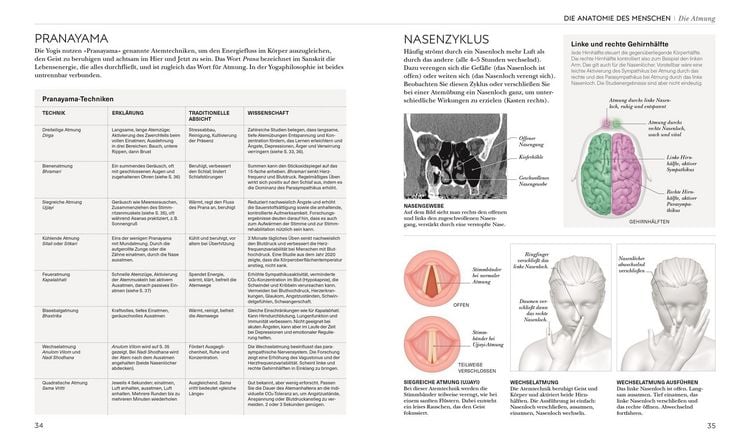Produktbild: Yoga verstehen - Die Anatomie der Yoga-Haltungen