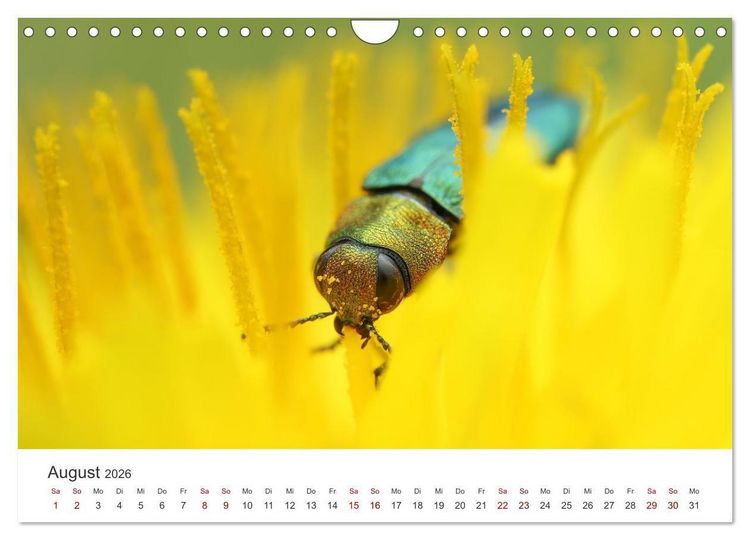 Produktbild: Der etwas andere Blickwinkel (Wandkalender 2026 DIN A4 quer), CALVENDO Monatskalender