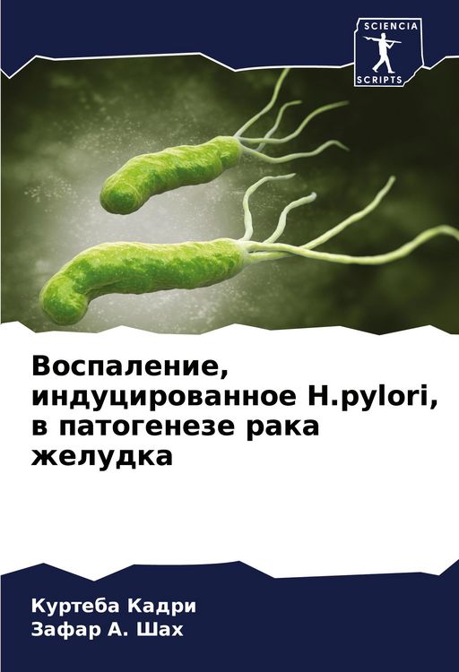 Produktbild: Vospalenie, inducirowannoe H.pylori, w patogeneze raka zheludka