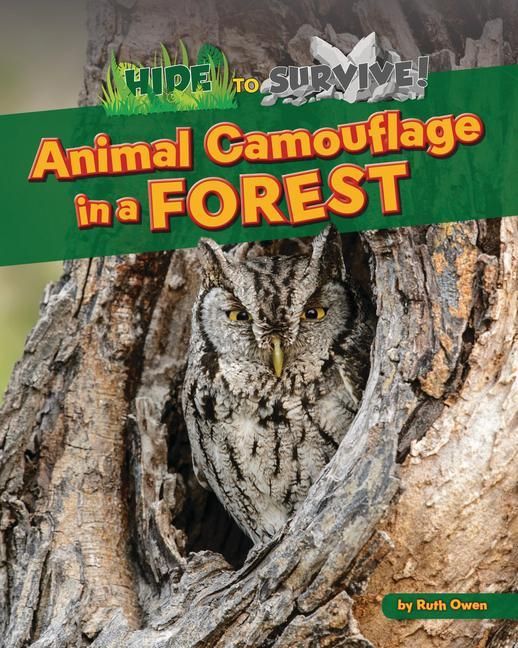 Produktbild: Animal Camouflage in a Forest