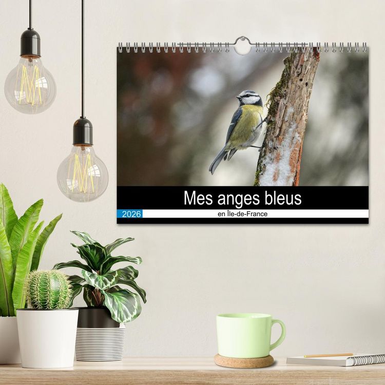 Produktbild: Mes anges bleus en &Icirc;le-de-France (Calendrier mural 2026 DIN A4 vertical), CALVENDO calendrier mensuel