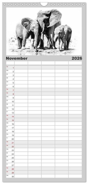 Produktbild: Familienplaner 2026 - AFRIKA - Schwarz-weiss Fotografien im modernen "High Key" Look mit 5 Spalten (Wandkalender, 21 x 45 cm) CALVENDO