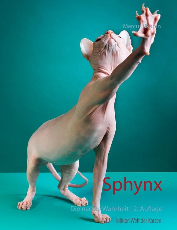 Produktbild: Sphynx
