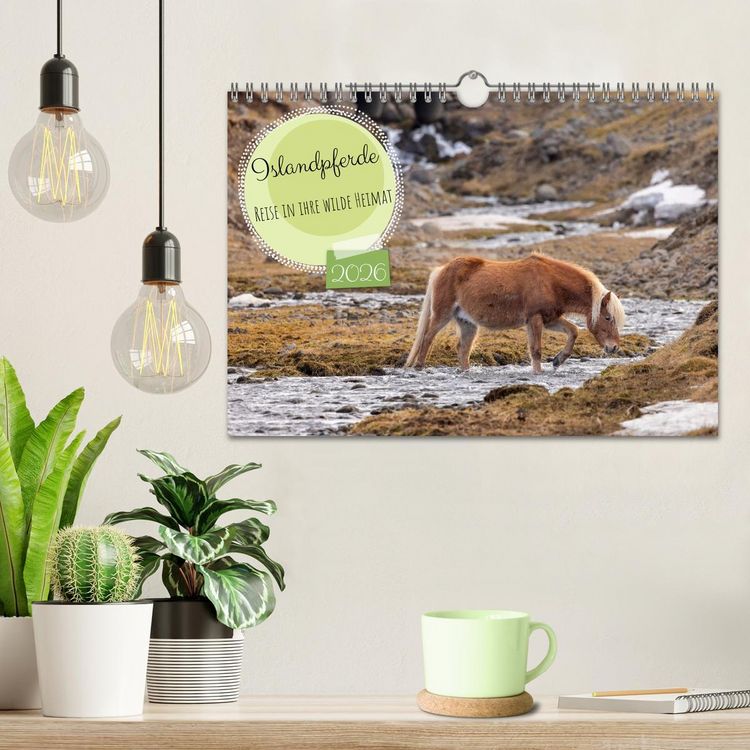Produktbild: Islandpferde - Reise in ihre wilde Heimat (Wandkalender 2026 DIN A4 quer), CALVENDO Monatskalender