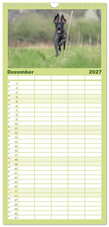 Produktbild: Familienplaner 2027 - Jagdhunde bei der Arbeit mit 5 Spalten (Wandkalender, 21 x 45 cm) CALVENDO
