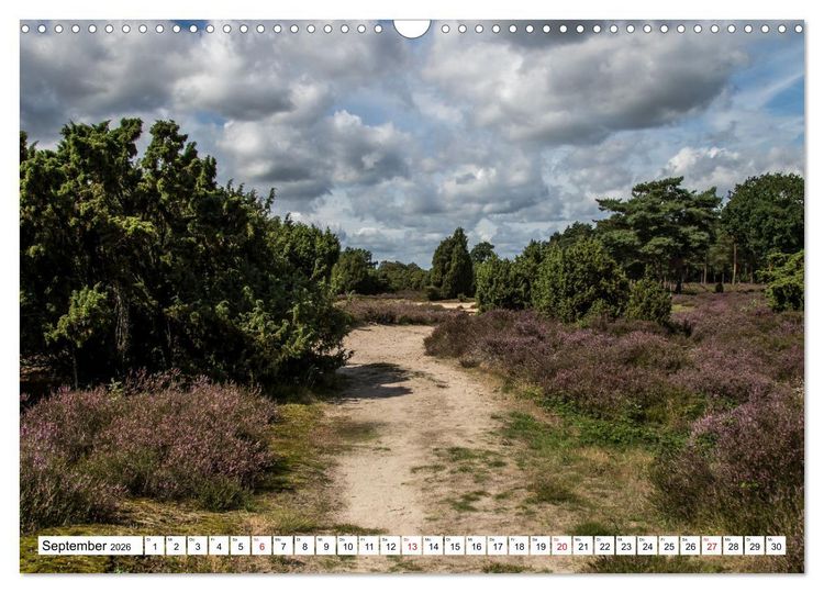 Produktbild: Lingen Ems (Wandkalender 2026 DIN A3 quer), CALVENDO Monatskalender