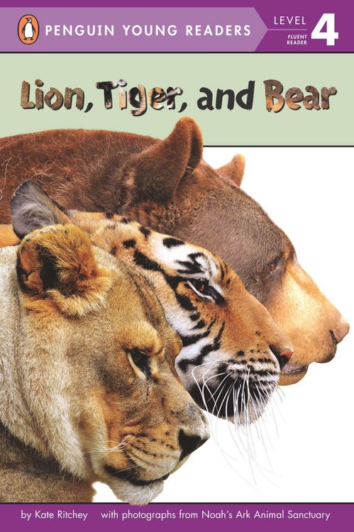 Produktbild: Lion, Tiger, and Bear