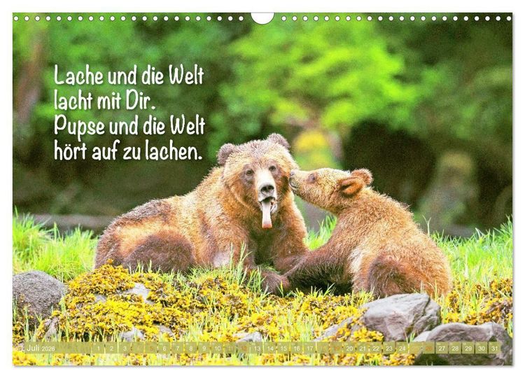 Produktbild: Spa&szlig; mit B&auml;ren: Edition lustige Tiere (Wandkalender 2026 DIN A3 quer), CALVENDO Monatskalender