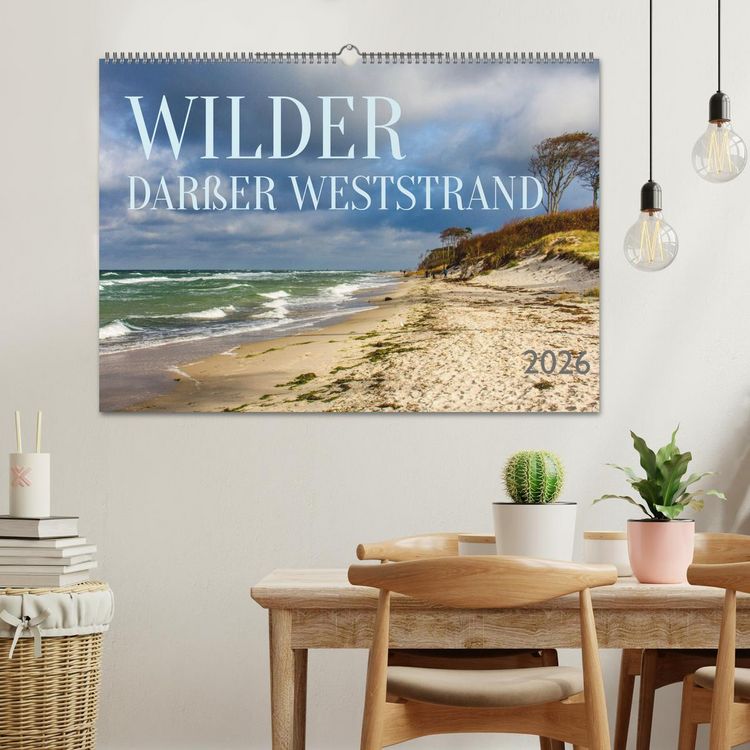 Produktbild: Wilder Dar&szlig;er Weststrand (Wandkalender 2026 DIN A2 quer), CALVENDO Monatskalender