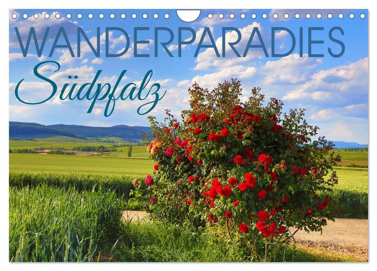 Produktbild: Wanderparadies S&uuml;dpfalz (Wandkalender 2026 DIN A4 quer), CALVENDO Monatskalender
