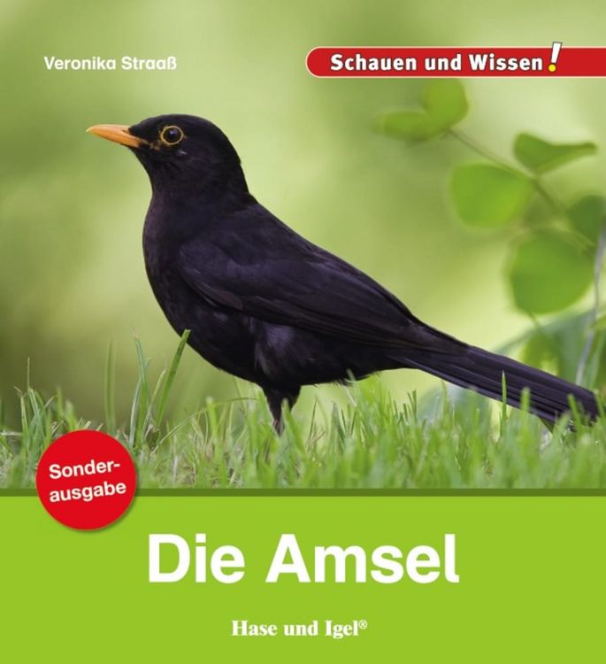Produktbild: Die Amsel / Sonderausgabe