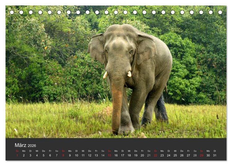 Produktbild: Thailand - exotisch und faszinierend (Tischkalender 2026 DIN A5 quer), CALVENDO Monatskalender