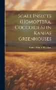 Produktbild: Scale Insects (Homoptera, Coccoidea) in Kansas Greenhouses