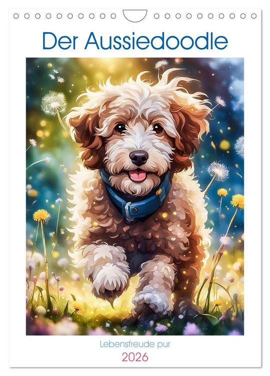 Produktbild: Der Aussiedoodle - Lebensfreude pur (Wandkalender 2026 DIN A4 hoch), CALVENDO Monatskalender