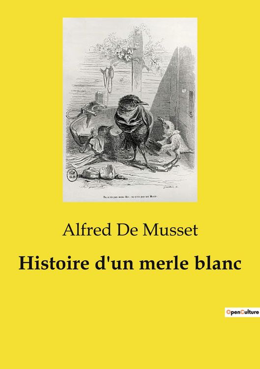Produktbild: Histoire d'un merle blanc