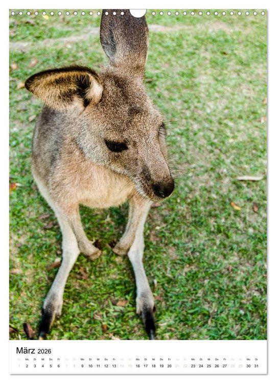 Produktbild: australian animals (Wandkalender 2026 DIN A3 hoch), CALVENDO Monatskalender