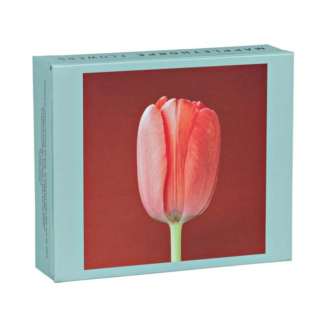 Produktbild: Mapplethorpe Flowers QuickNotes
