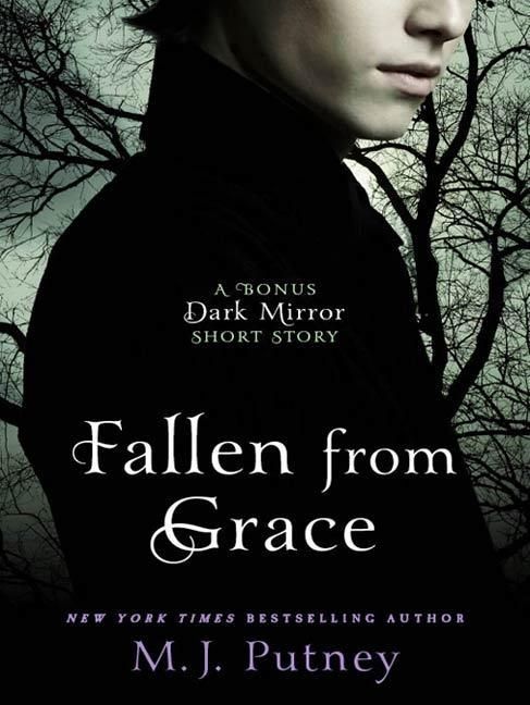 Produktbild: Fallen from Grace