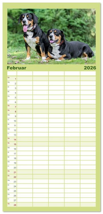 Produktbild: Familienplaner 2026 - Entlebucher - Temperamentvolle Schweizer Sennenhunde mit 5 Spalten (Wandkalender, 21 x 45 cm) CALVENDO