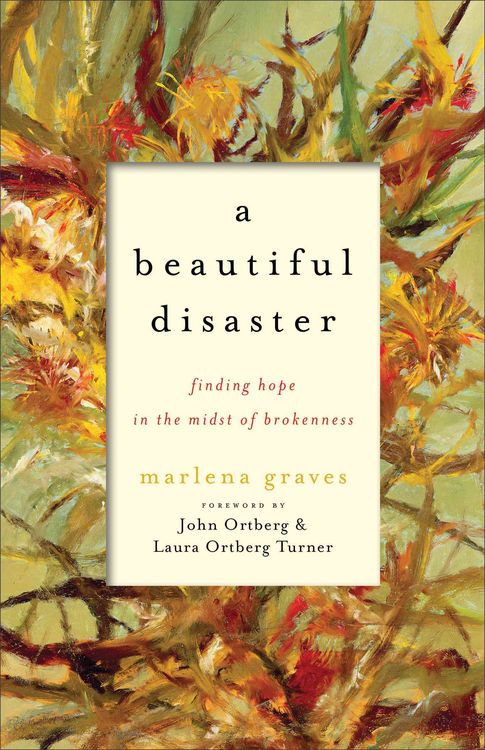 Produktbild: Beautiful Disaster