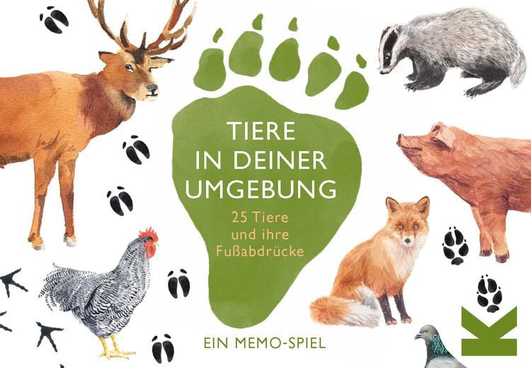Produktbild: Laurence King Verlag - Tiere in deiner Umgebung