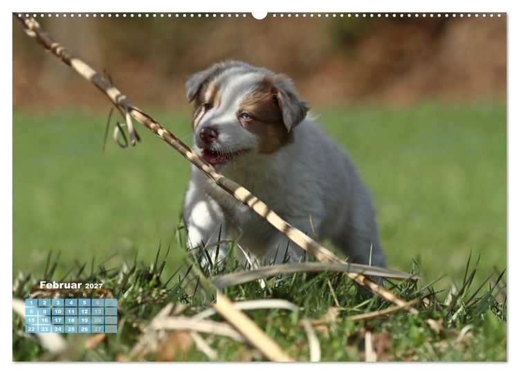 Produktbild: Lillyfee und ein K&ouml;rbchen voller Gl&uuml;ck (Wandkalender 2027 DIN A2 quer), CALVENDO Monatskalender