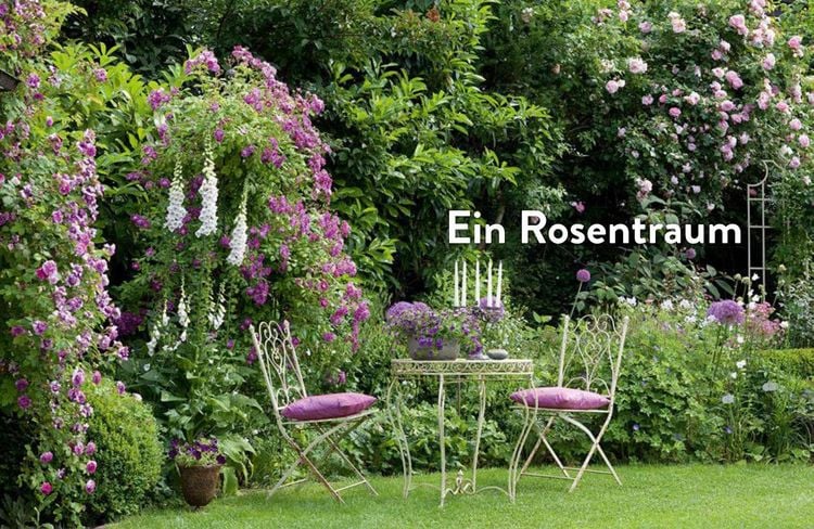 Produktbild: Verr&uuml;ckt nach Garten. Ideen und Erfahrungen kreativer G&auml;rtner