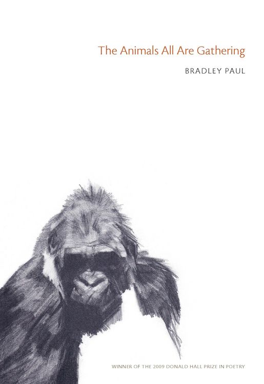 Produktbild: The Animals All Are Gathering