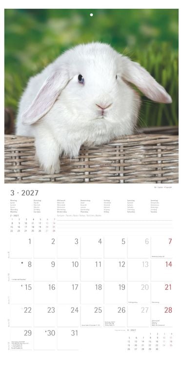 Produktbild: Kaninchen 2027