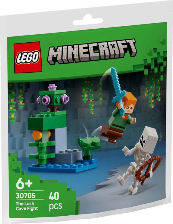 Produktbild: LEGO Minecraft 30705