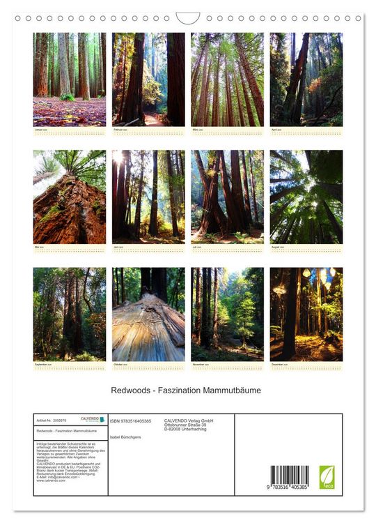 Produktbild: Redwoods - Faszination Mammutb&auml;ume (Wandkalender 2026 DIN A3 hoch), CALVENDO Monatskalender