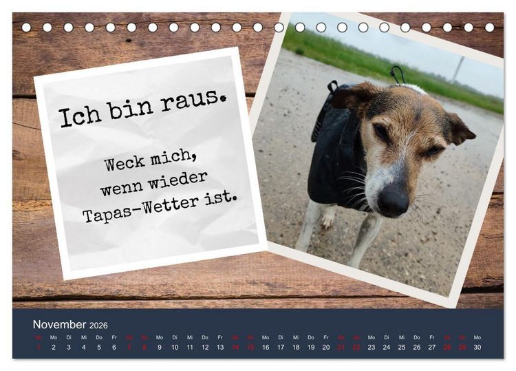 Produktbild: Ratonero Bodeguero Andaluz (Tischkalender 2026 DIN A5 quer), CALVENDO Monatskalender