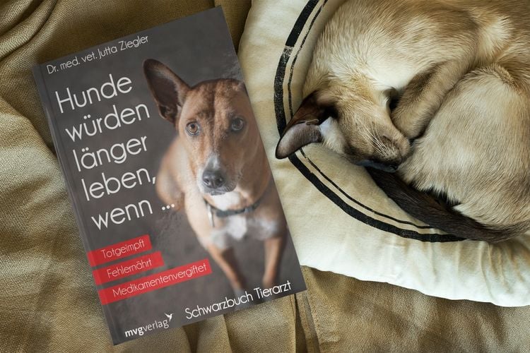 Produktbild: Hunde würden länger leben, wenn ...