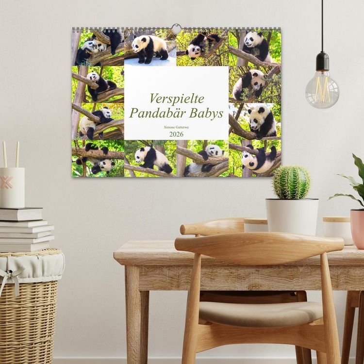 Produktbild: Pandab&auml;r Babys (Wandkalender 2026 DIN A3 quer), CALVENDO Monatskalender