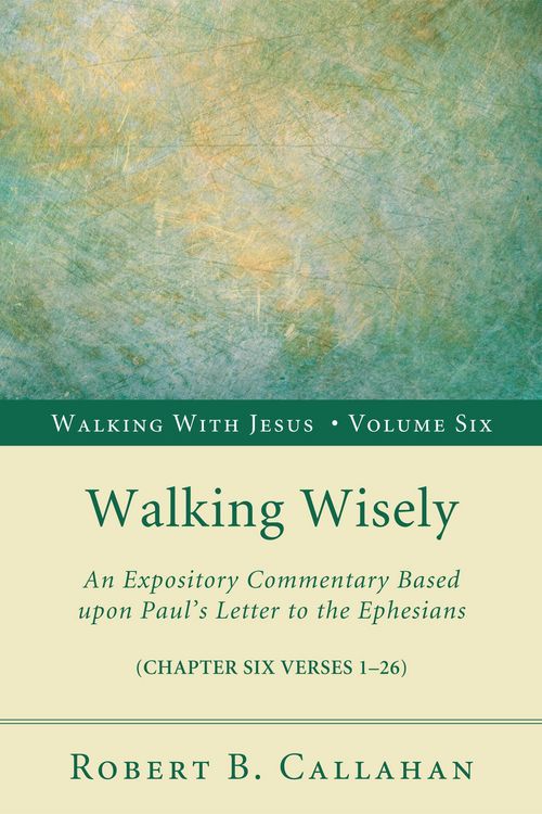 Produktbild: Walking Wisely