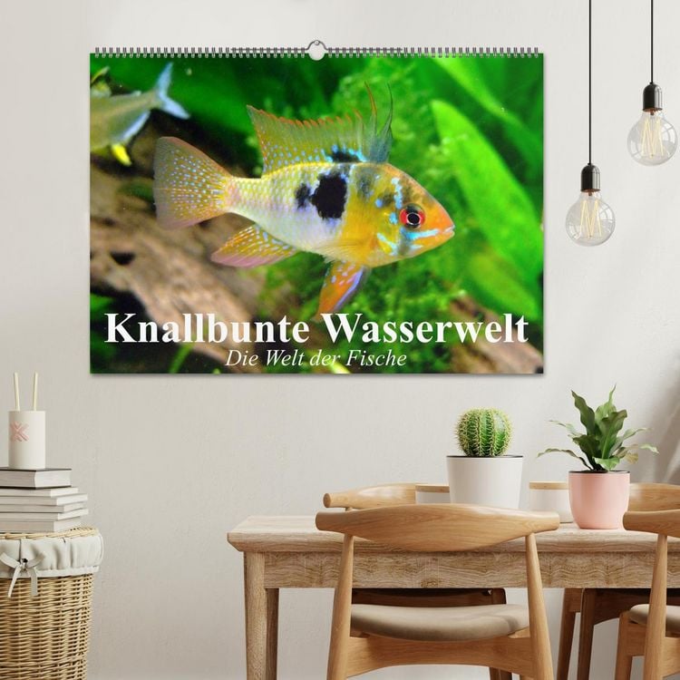 Produktbild: Knallbunte Wasserwelt. Die Welt der Fische (Wandkalender 2026 DIN A2 quer), CALVENDO Monatskalender