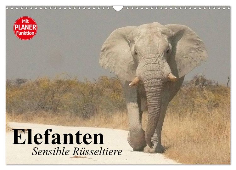 Produktbild: Elefanten. Sensible R&uuml;sseltiere (Wandkalender 2026 DIN A3 quer), CALVENDO Monatskalender