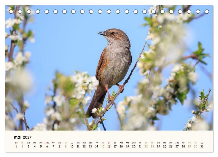 Produktbild: Les voisins du jardin - Une ann&eacute;e de rencontres (Calendrier de bureau 2027 DIN A5 vertical), CALVENDO calendrier mensuel