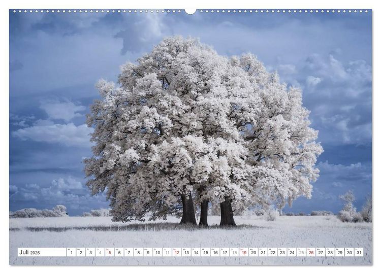 Produktbild: Zauberhafte Infrarot-Fotografie (hochwertiger Premium Wandkalender 2026 DIN A2 quer), Kunstdruck in Hochglanz